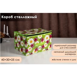 Короб стеллажный для хранения с крышкой Доляна «Божьи коровки», 40×30×25 см, цвет зелёный