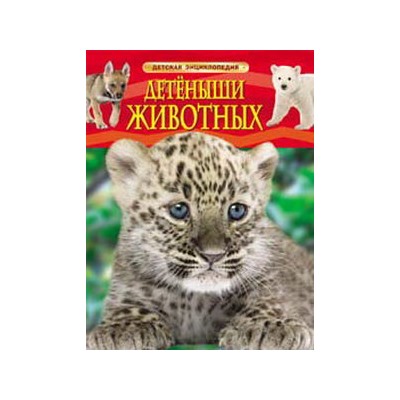 Детеныши животных. Детская энциклопедия