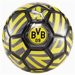Borussia Dortmund Fan Soccer