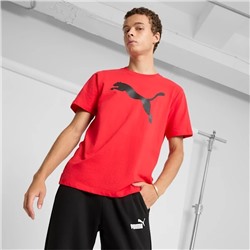 Essentials Big Cat Men's Tee