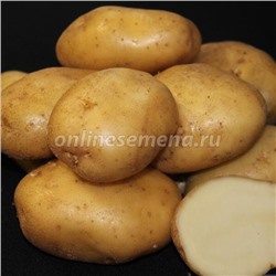 Картофель семенной Лорх (с/элита) 2.7 кг