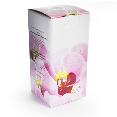 Композиция из розовых роз (арт. CSRp) в подарочной упаковке