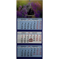 2024г. Календарь-трио Животные Котенок на пне КТ- 24434