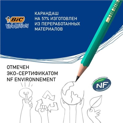 Карандаш чернографитный (простой) НВ, BIC Evolution, заточенный, пластик, без ластика, шестигранный, зеленый корпус