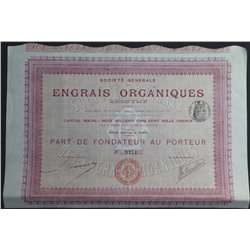 Акция Органические удобрения, 100 франков 1907 год, Франция