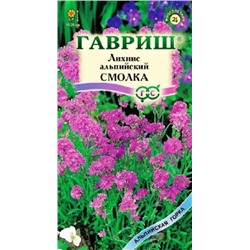 Лихнис Альпийский (смолка) (Код: 87341)