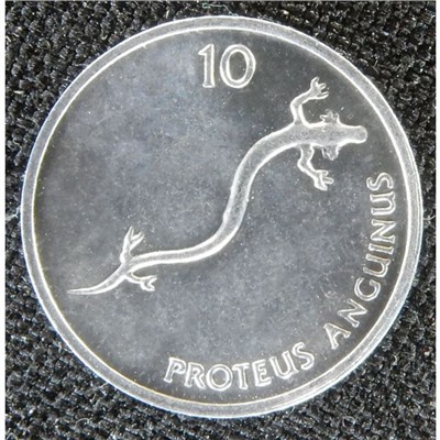 Журнал Монеты и банкноты №303 + лист для хранения монет