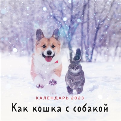 Календарь настенный «Как кошка с собакой» 2023 год, 30х30 см