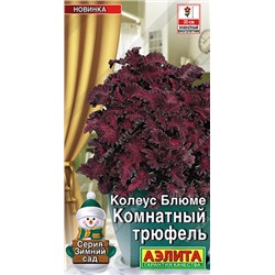 Колеус Комнатный трюфель (Код: 92445)