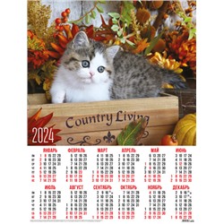 Календари листовые 10 штук A2 2024 Кошки. Котенок в деревянном ящике 30948
