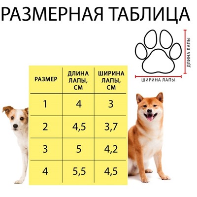 Ботинки Элеганс, набор 4 шт, размер 1 (подошва 4 х 3 см) коричневые