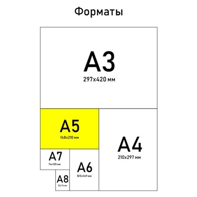 Блокнот А5, 40 листов «Енотик»