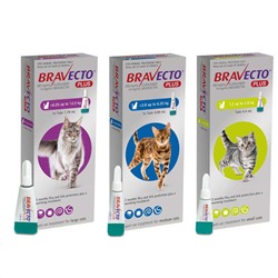 Bravecto PLUS Topische Lösung für Katzen