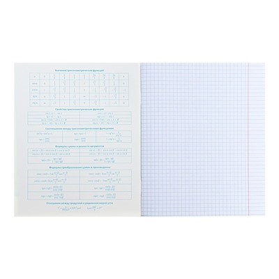 Тетрадь предметная "Тетрадочка", 48 листов в клетку "Алгебра", обложка мелованный картон, выборочный лак, со справочным материалом