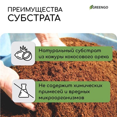 Субстрат кокосовый в брикете, 65 л, 30% чипсы и 70% торф, Greengo