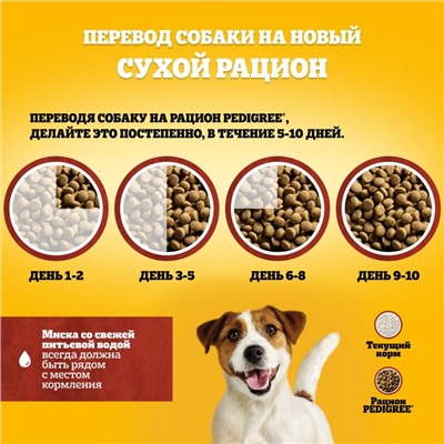 Сухой корм Pedigree для собак мелких пород, говядина, 600 г