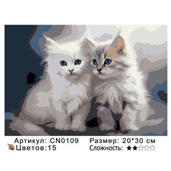 CN0109 Картины по номерам 20*30 цвет.холст