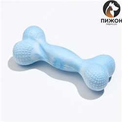 Игрушка плавающая для собак "Мощная кость" Пижон Premium, вспененный TPR, 15,5 см, голубая