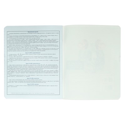 Тетрадь предметная "Яркие детали", 48 листов в линию "Русский язык", обложка мелованный картон, выборочный твин-лак, УФ-лак, блок офсет