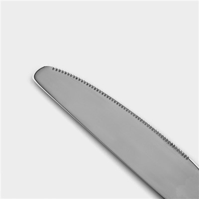 Набор ножей столовых из нержавеющей стали Magistro «Олин», длина 22,7 см, 6 шт
