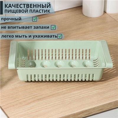 Контейнер для хранения яиц, 10 ячеек, 31×17,5×7,5 см, цвет МИКС