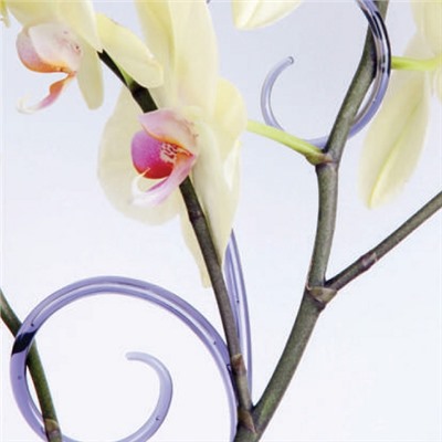 Держатель для орхидеи, h=60 см, фиолетовый