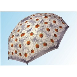 Зонт 4056 белые ромашки