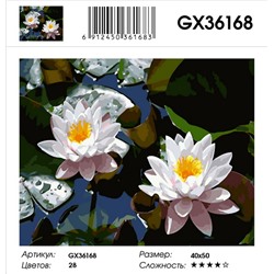 GX 36168