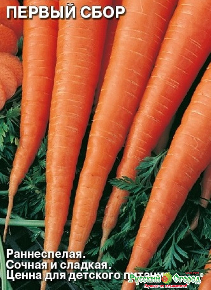 Морковь 1 разбор. Семена СЕДЕК морковь. Морковь сорта Леандр. Морковь фараон от фирмы партнер.