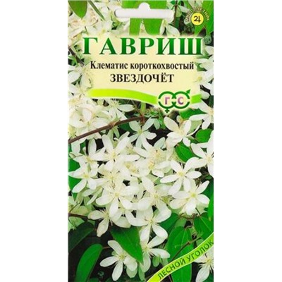 Клематис кортоткохвостый Звездочет (Код: 81806)