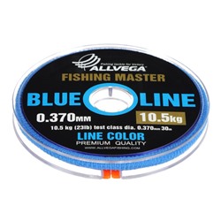 Леска монофильная ALLVEGA Fishing Master, диаметр 0.370 мм, тест 10.5 кг, 30 м, голубая