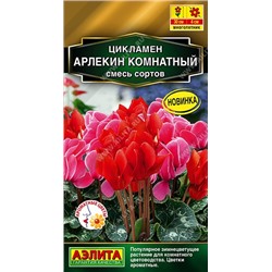 Цикламен Арлекин  (Код: 89982)