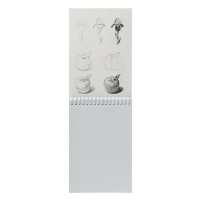 Блокнот-скетчбук, А5, 32 листа на гребне, Beautiful, обложка мелованный картон, жёсткая подложка, блок 160 г/м², с пошаговыми эскизами