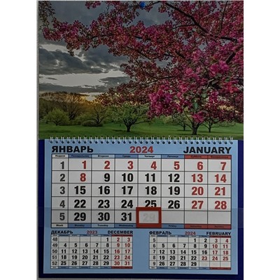 Календарь одноблочный большой 2024г. Природа Цветущая яблоня КШ-24609
