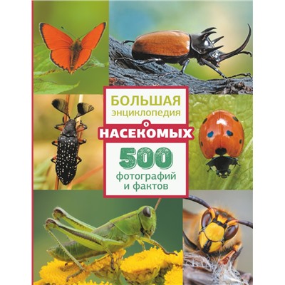 Большая энциклопедия о насекомых. 500 фотографий и фактов