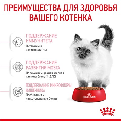 Сухой корм RC Kitten для котят, 10 кг