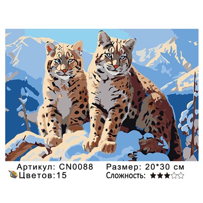 CN0088 Картины по номерам 20*30 цвет.холст