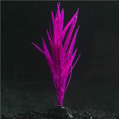 Растение силиконовое аквариумное, светящееся в темноте, 7 х 12,5 см, фиолетовое