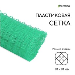Сетка садовая, 1 × 5 м, ячейка 13 × 13 мм, для птичников, пластиковая, зелёная