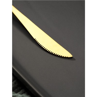 Нож столовый из нержавеющей стали Magistro «Фолк», длина 22 см, цвет золотой, серебряная ручка