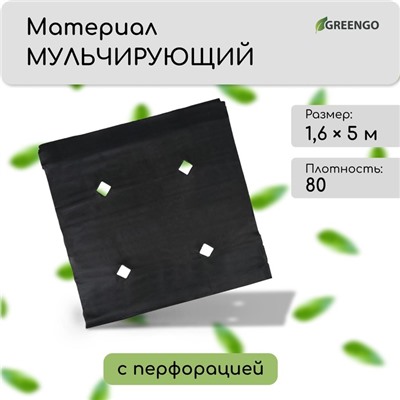 Материал мульчирующий, с перфорацией, 5 × 1,6 м, плотность 80 г/м², с УФ-стабилизатором, чёрный, Greengo, Эконом 20%