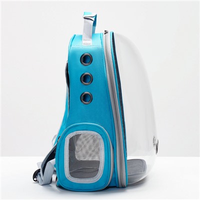 Рюкзак для переноски кошек и собак, прозрачный, 31 х 28 х 42 см, голубой