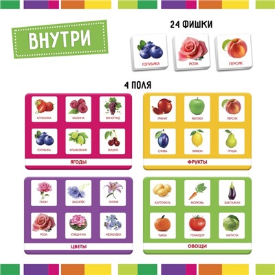 Лото «Растительный мир» по методике Г. Домана, 1-4 игрока, 3+