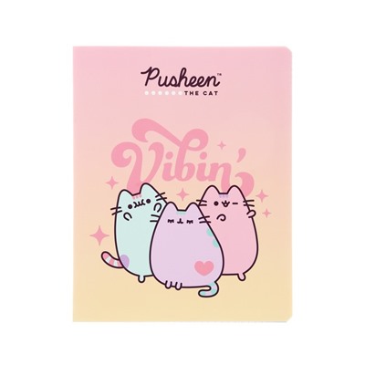 Тетрадь 48 листов в клетку Pusheen, обложка мелованный картон, ламинация софт тач, блок офсет, МИКС