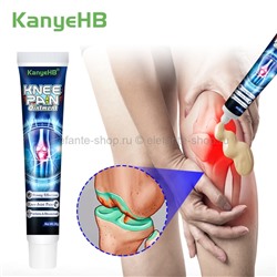 Мазь для коленных суставов KanyeHB Knee Pain Ointment 20g (106)