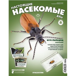 Журнал №53 "Настоящие насекомые" С ВЛОЖЕНИЕМ! Жук-пыльцеед
