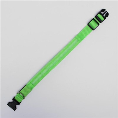 Ошейник с подсветкой размер XL, ОШ 52-60 х 2,5 см, 3 режима свечения зелёный