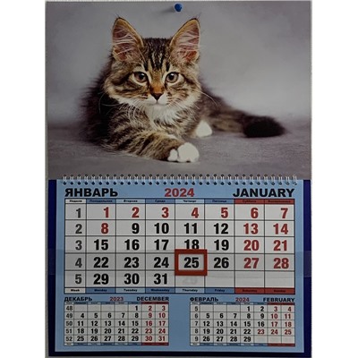 Календарь одноблочный большой 2024г. Животные Котенок КШ-24001