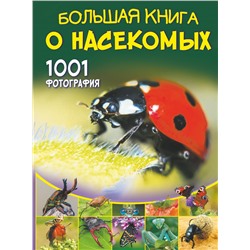 Большая книга о насекомых. 1001 фотография