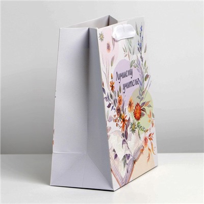 Пакет подарочный ламинированный вертикальный, упаковка, «Поздравляю», MS 18 х 23 х 10 см